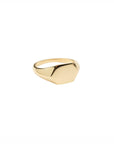 14k Gold Geometric Signet Ring