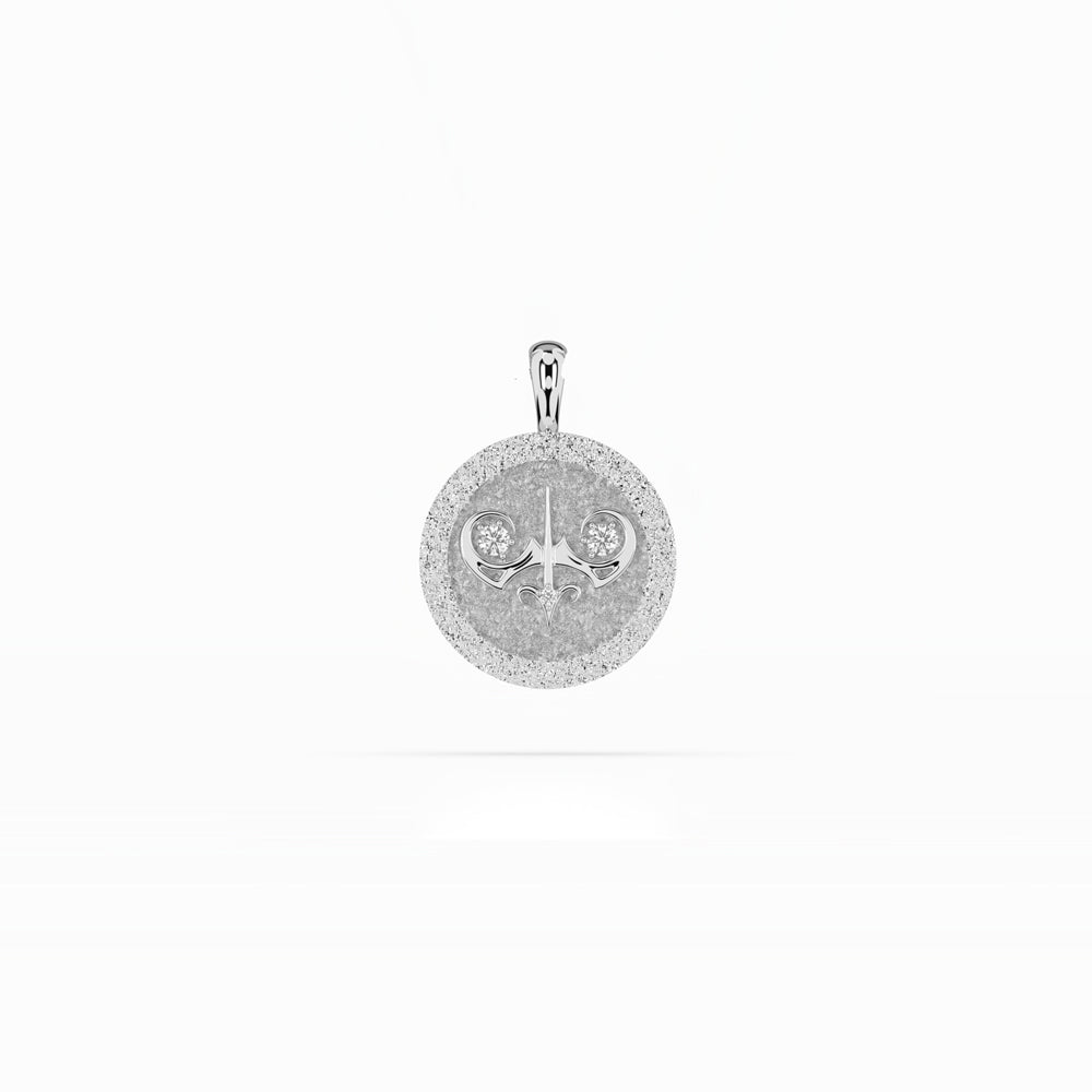 14k Zodiac Necklace