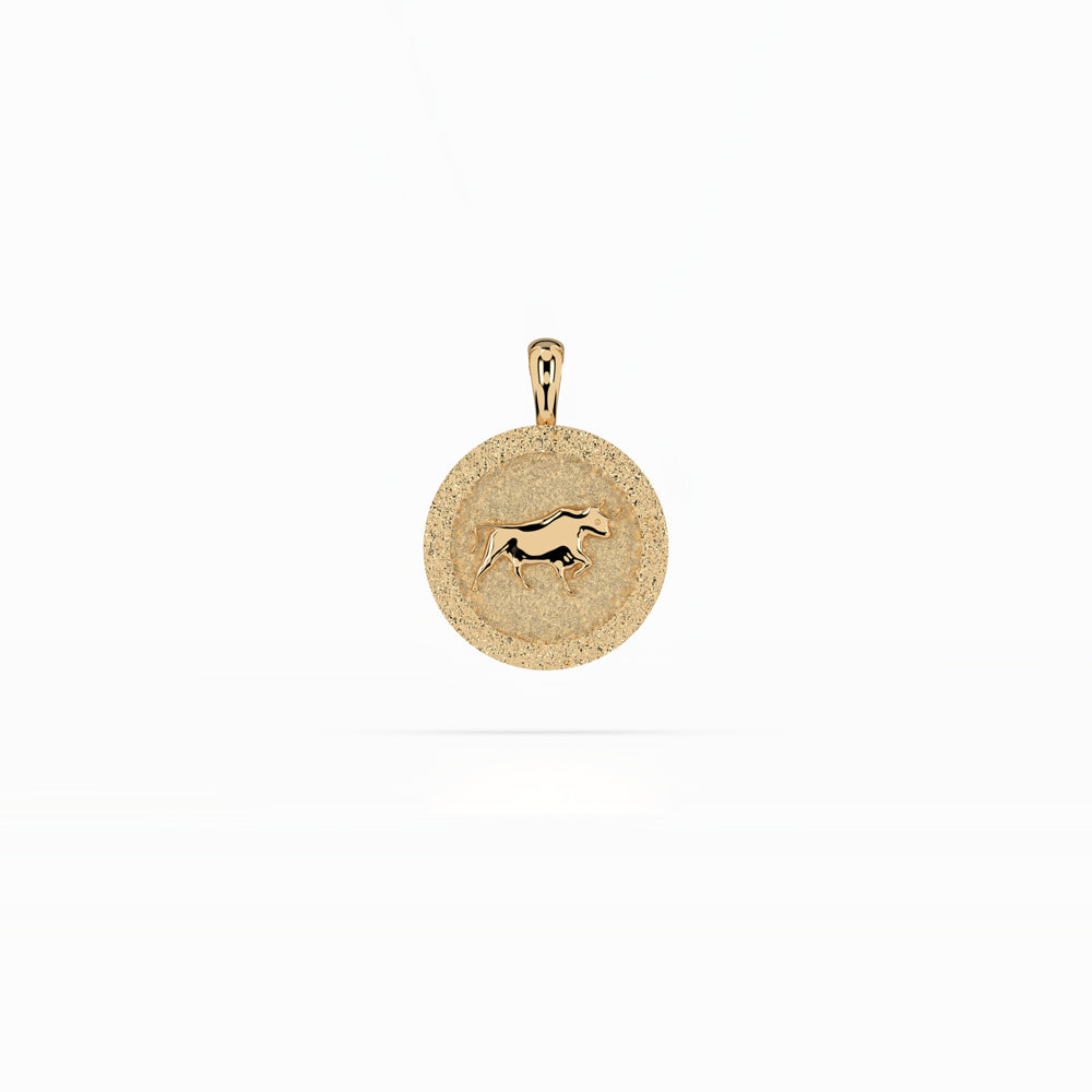 14k Zodiac Necklace