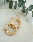 Gold Chubby Hoops