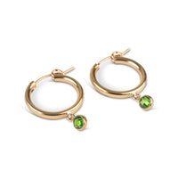 Gold Crystal Clasp Hoops
