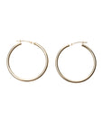 Clasp Hoops - Fine Jewelry