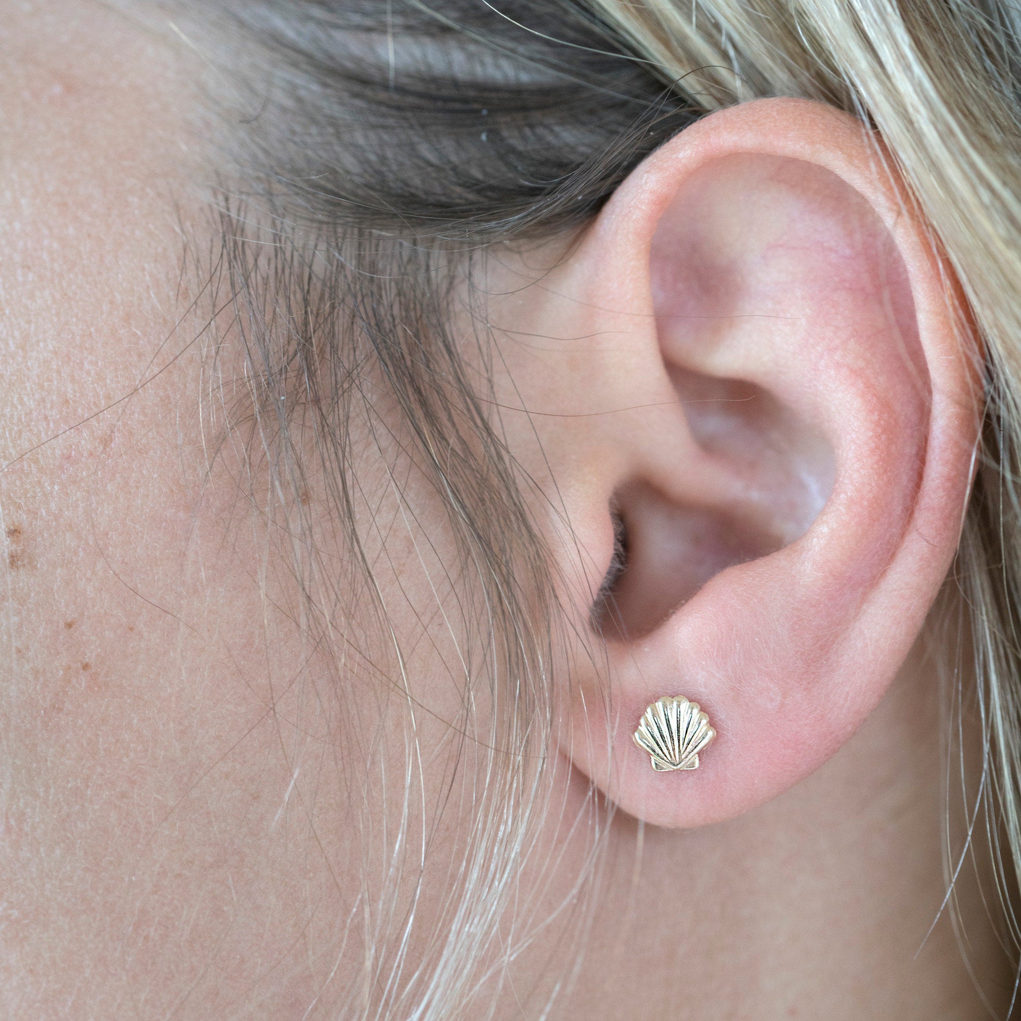 Seashell Earrings, Gold Studs, Seashell Studs, Gold Filled Studs, Earrings, Gold Filled Earrings, 14k Gold Studs